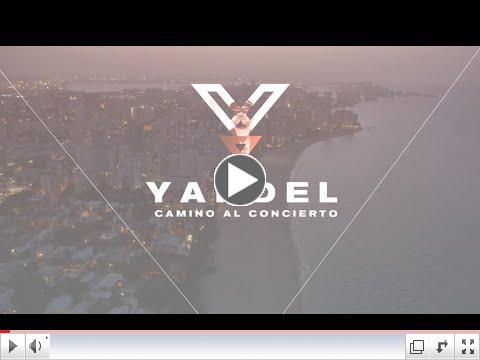 Yandel: Camino al Concierto (HBO Latino Special)