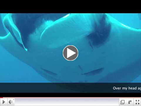 Hopefully we can see these..