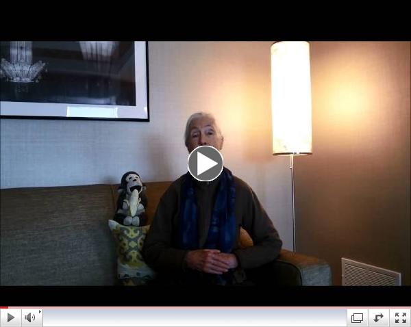Dr. Jane Goodall's Peace Day Message for Roots & Shoots Members All Around the World