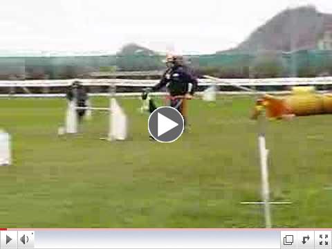 Fetch Jumping Debuttanti