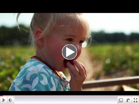 How to Pick Strawberries