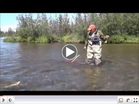 Mike Wonderlich, Dave's brother, catches a huge arctic grayling