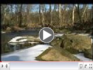 Fairfax County Stormwater Management