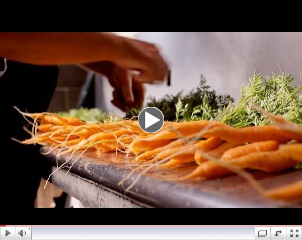 Sustainable Connections |