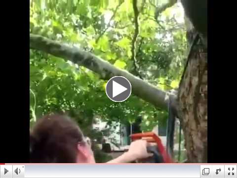 Carrie vs Tree