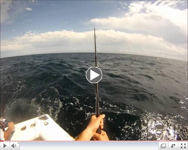 Popping for Tuna - Bushido Popping Rods by Jersey Tackle