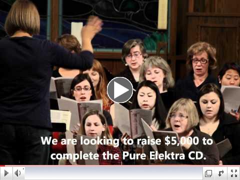 Pure Elektra Indiegogo Campaign