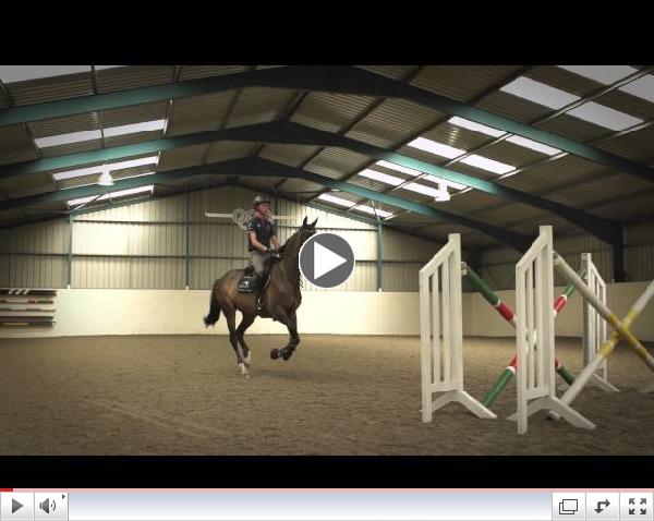 Behind The Scenes of Showjumping - Excelling Under Pressure