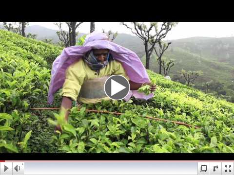 Fair Trade: Improving Lives