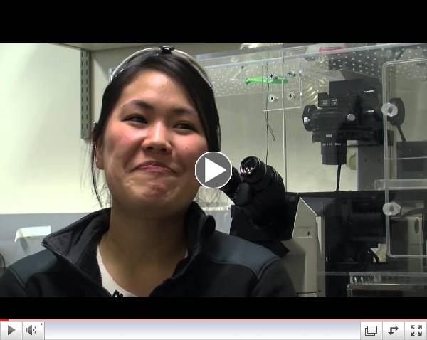 Emi Tokuda - Medical Researcher