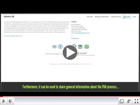 Online Reporting Platform