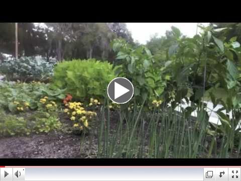 Community Garden