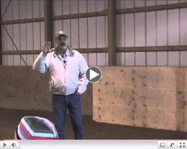 Bladder Meridian for Difficult Horses or Horses in Pain