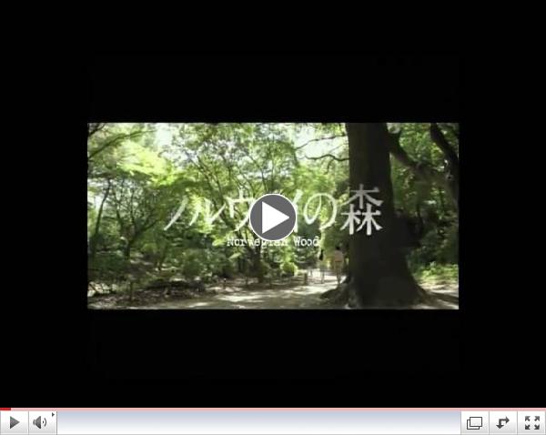 Norwegian Wood (2010) Trailer (English Subtitles)