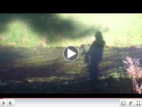 ShadowoftheSage.MOV