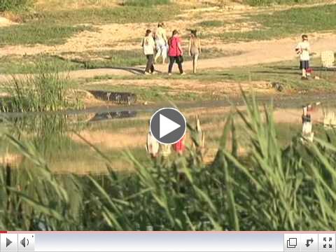 USU Botanical Center Tour