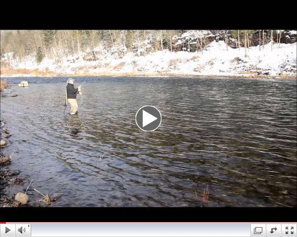 Catching & Releasing a Rainbow 1.8.2013 with nymphs on Pine Creek's Schoolhouse Riffle.