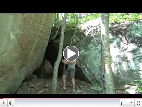 Branchless Tree Climb