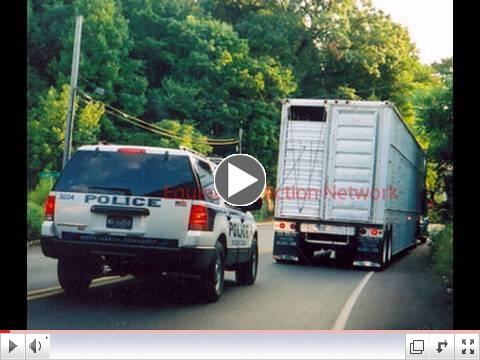 Rodeo Horses Transported in Dangerous Double-Decker Trailers