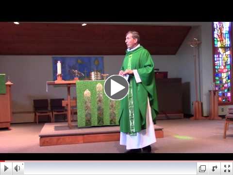 Pr. Steve's Sermon - Why, not What?