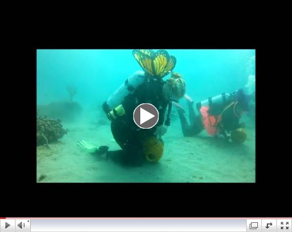 Halloween Dive with SFDH & Force-E 2013
