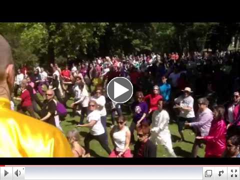 World Tai Chi day in Porto