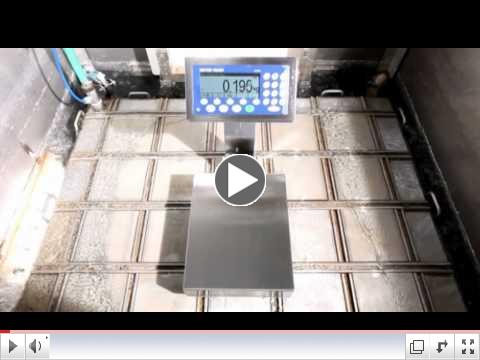 Mettler ICS terminal IP protection