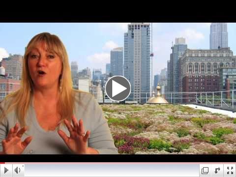Sky Gardens E#2 - Cook+Fox Architects