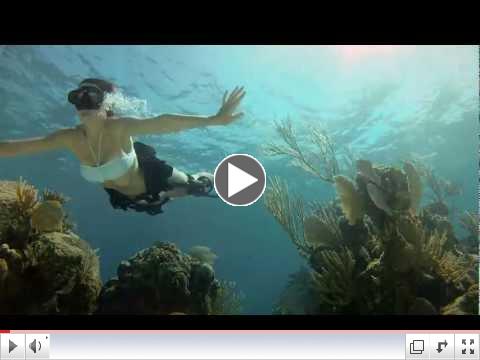 GoPro HD: Shark Riders - Introducing GoPro's New Dive Housing