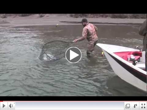 Kokanee Trolling with Gary Miralles - Fly Fish TV