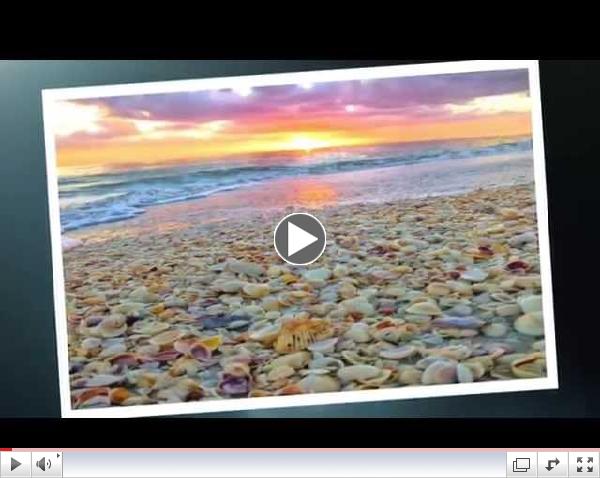 Sanibel Wishes