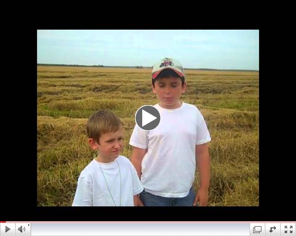 Rice Rice Baby (Farming in Arkansas)
