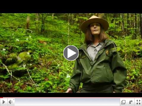 Mt. Le Conte: Sacred Mountain of the Smokies