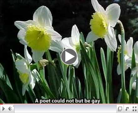 Daffodils - William Wordsworth