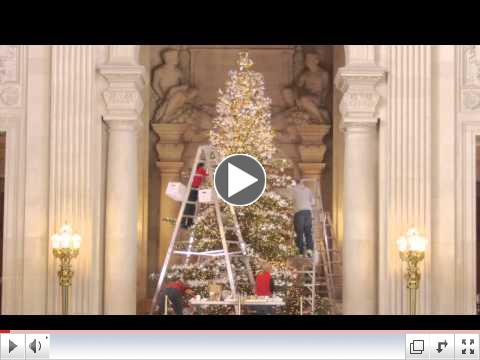 1 Minute Video of the RWF World Tree of Hope being decorated. 