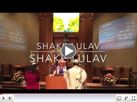 Shake Lulav Video