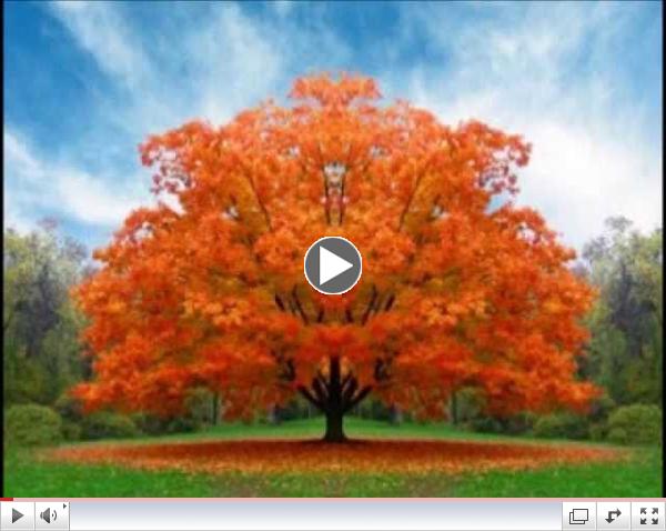 As Long As I Breathe - Zemer Levav  (As Long As I Breathe )