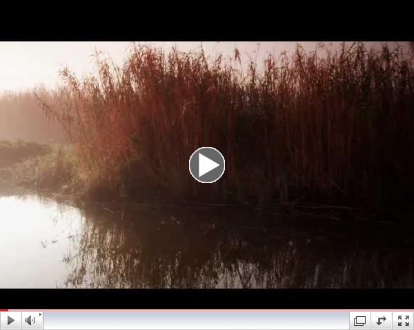 Shorelinks.Exported.1.7_YouTube HD 1080p