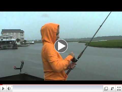 The one that got away! / shark bait