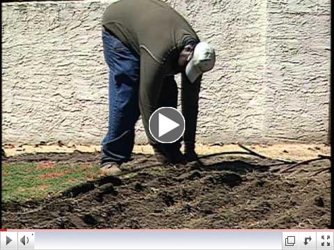Rain Bird XFS Subsurface Dripline Installation