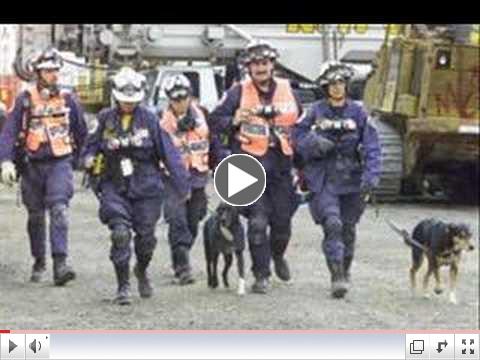 Canine Heros WTC