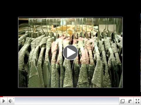 Video from 911day.org