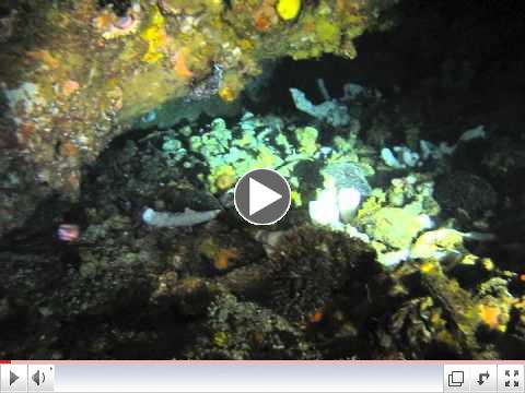 Malapascua April 2012