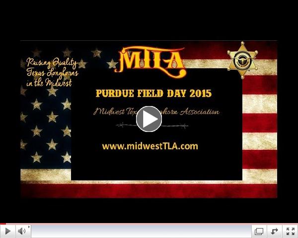 Midwest Texas Longhorn Association Purdue Field Day 2015