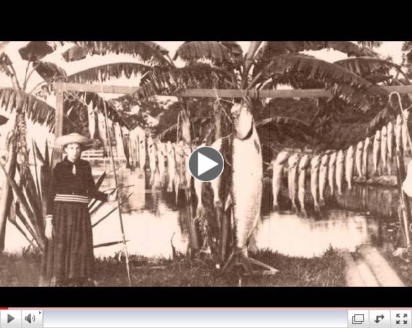 Silver King: The Birth of Big Game Fishing