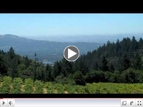 Plumb Ridge mountain top vineyard #2