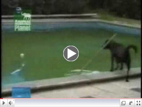 I'm not jumping in