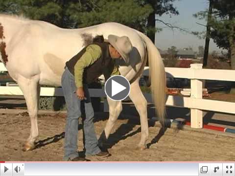 A How-to-Video from the Certified Horsemanship Association 