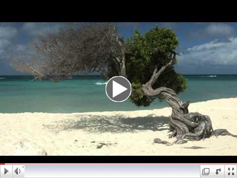 Carnival Breeze: Caribbean Destinations
