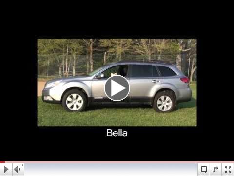 Prestige Subaru. Animal Compassion Network.  April 13, 2011 HD